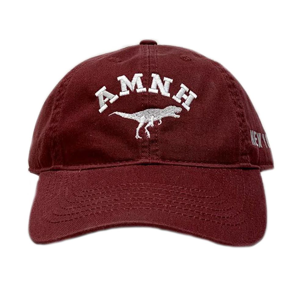 Youth Burgundy Embroidered AMNH Dino Cap