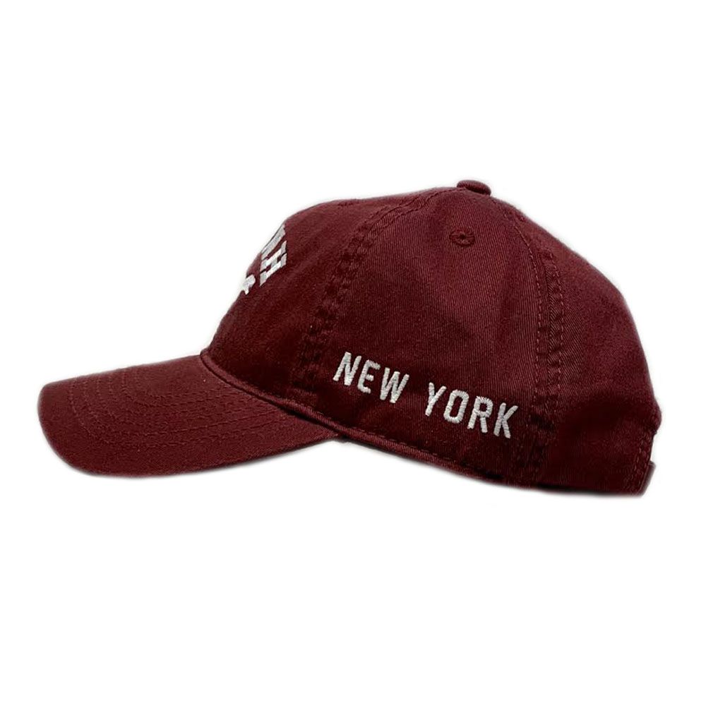 Youth Burgundy Embroidered AMNH Dino Cap Side