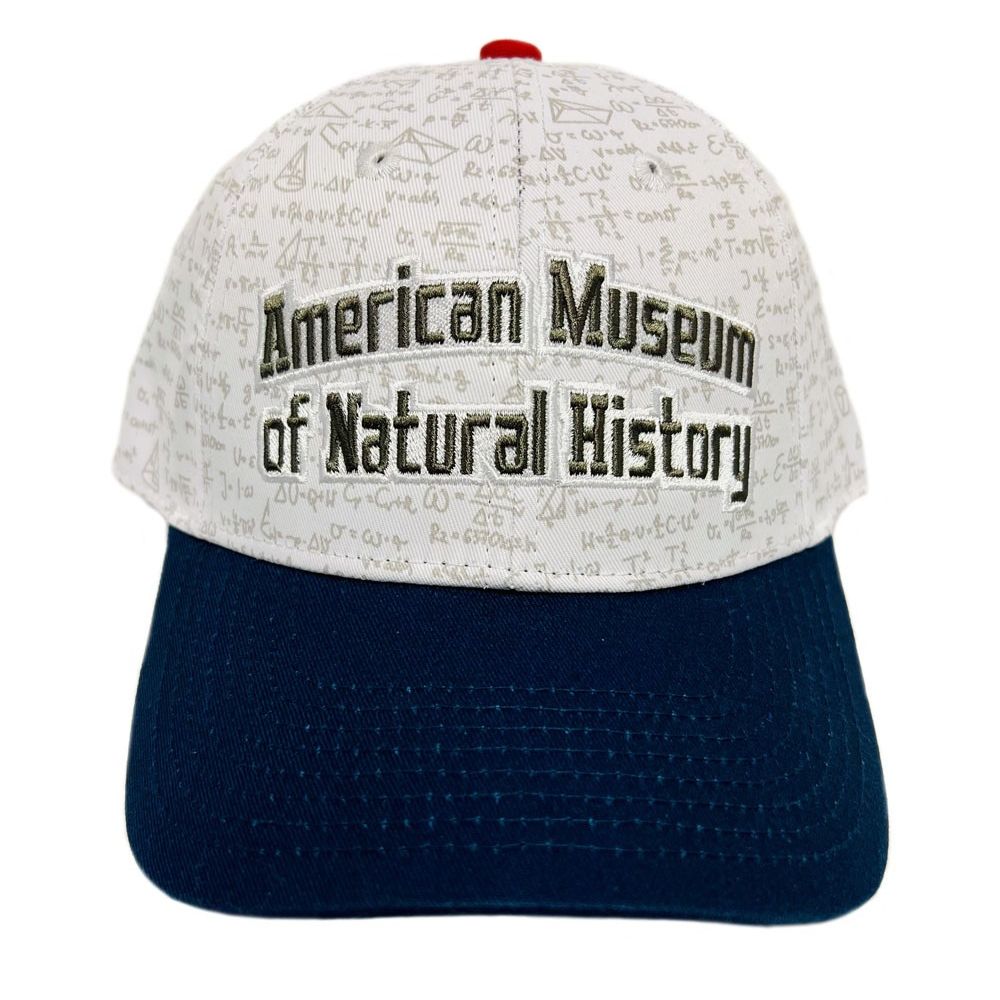 Adult Math Equations Cap