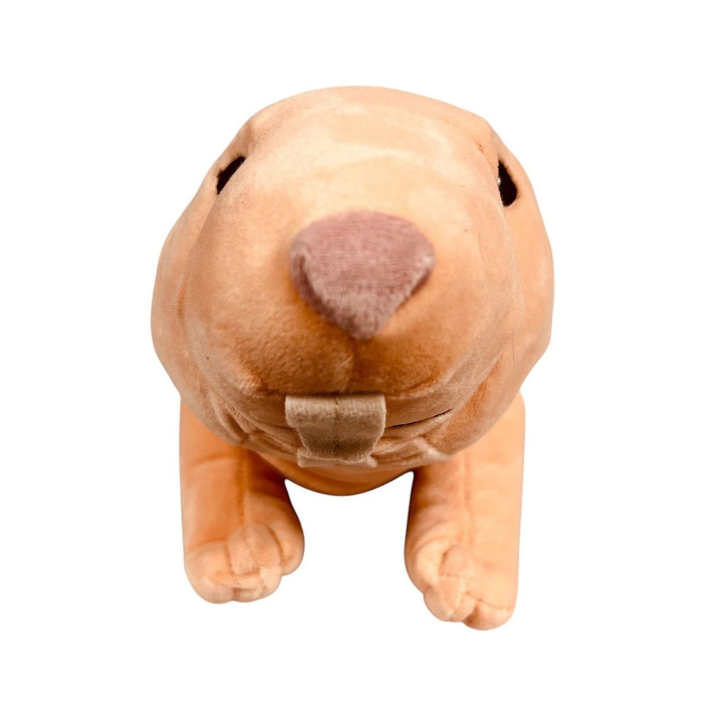 Eco-Friendly Plush Mole Rat face