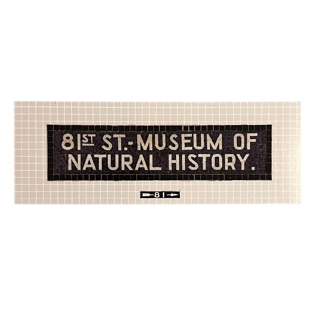MTA Museum Subway Collection | AMNH Shop