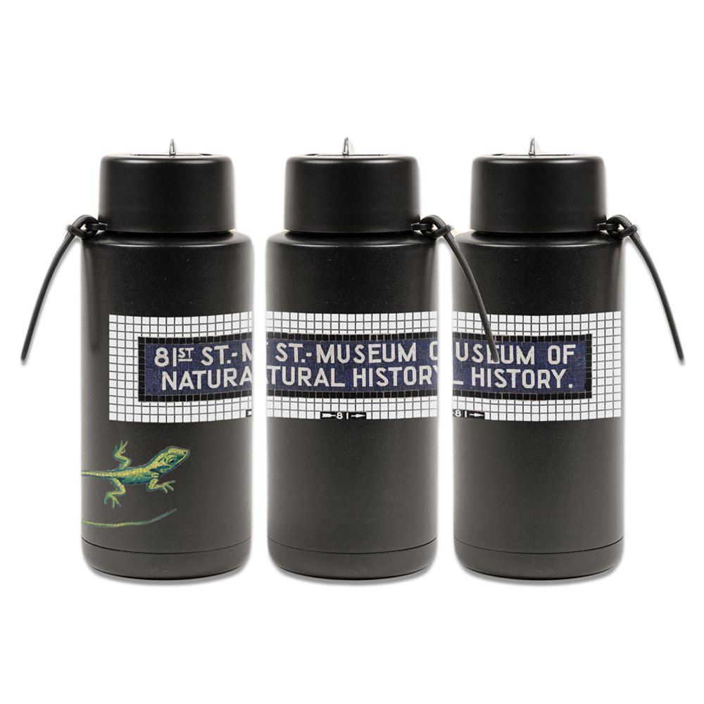 MTA AMNH Subway Art Water Bottle 