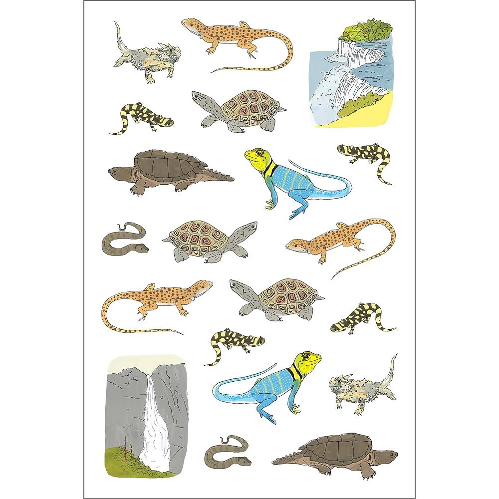 Nature Anatomy 750 Piece Sticker Book page 4
