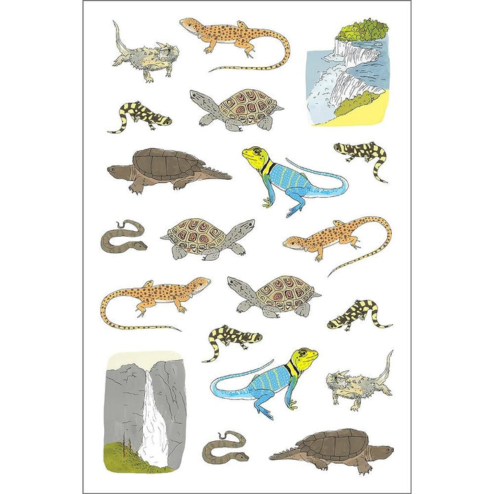 Nature Anatomy 750 Piece Sticker Book page 4
