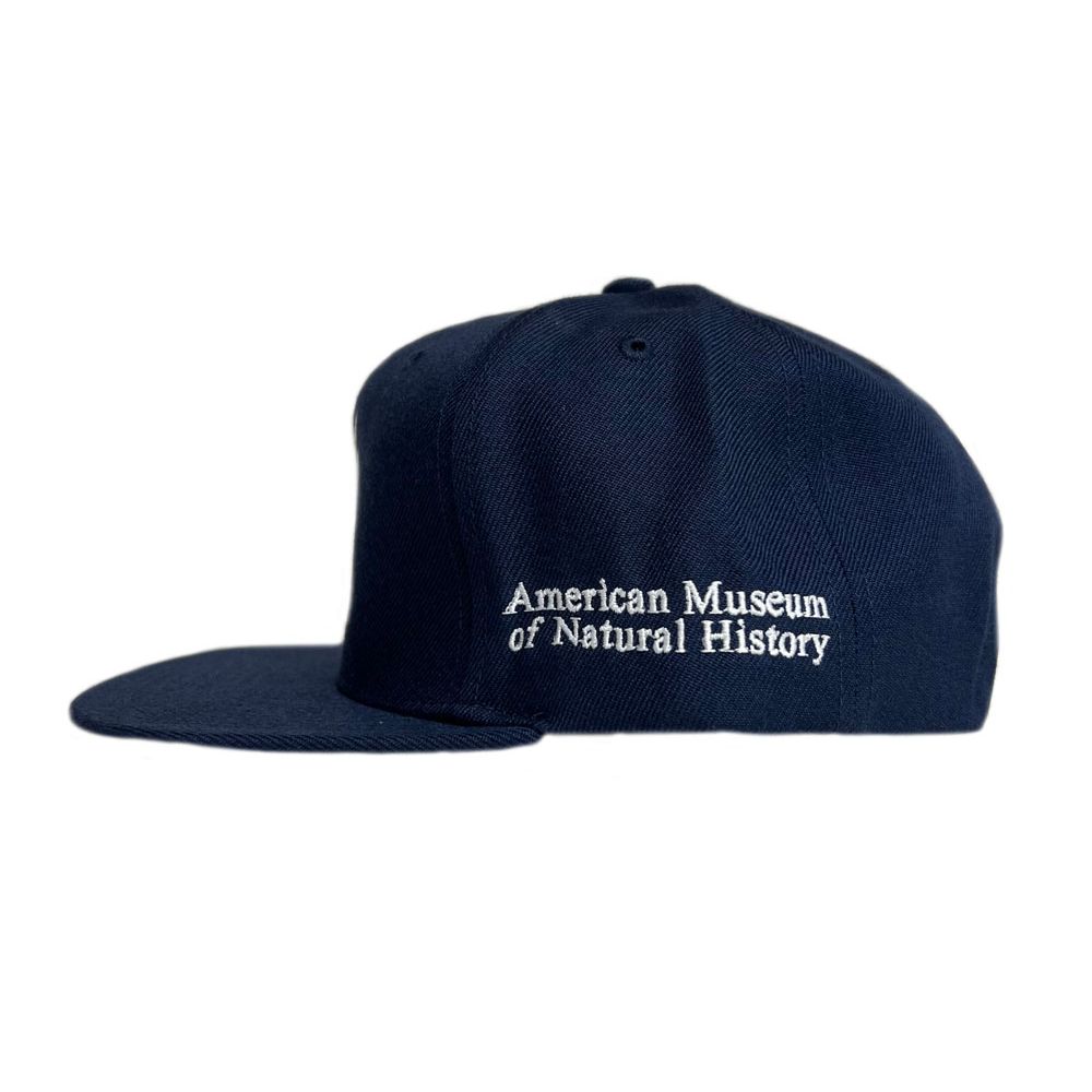 Exclusive AMNH NY Yankees Cap - Side