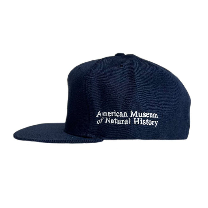 Exclusive AMNH NY Yankees Cap - Side