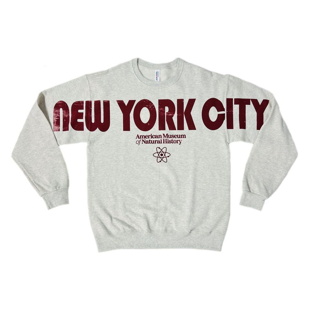 Adult Fleece AMNH NYC Atom Sweatshirt  2