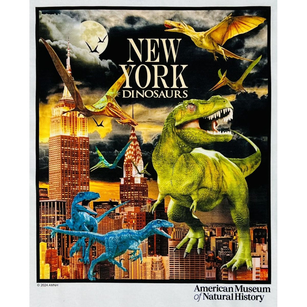 Youth New York Dinosaurs T-Shirt closeup