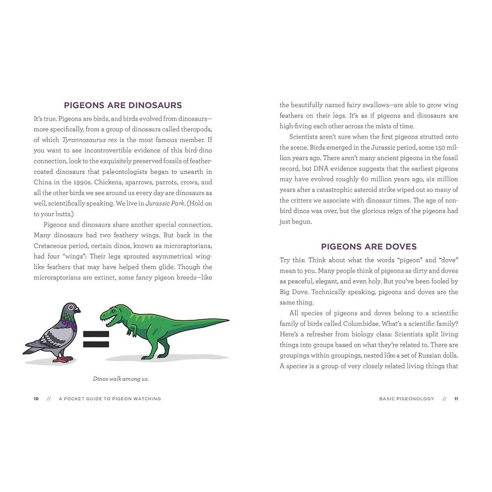 A Pocket Guide To Pigeon Watching 1