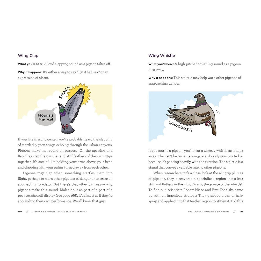 A Pocket Guide To Pigeon Watching 3