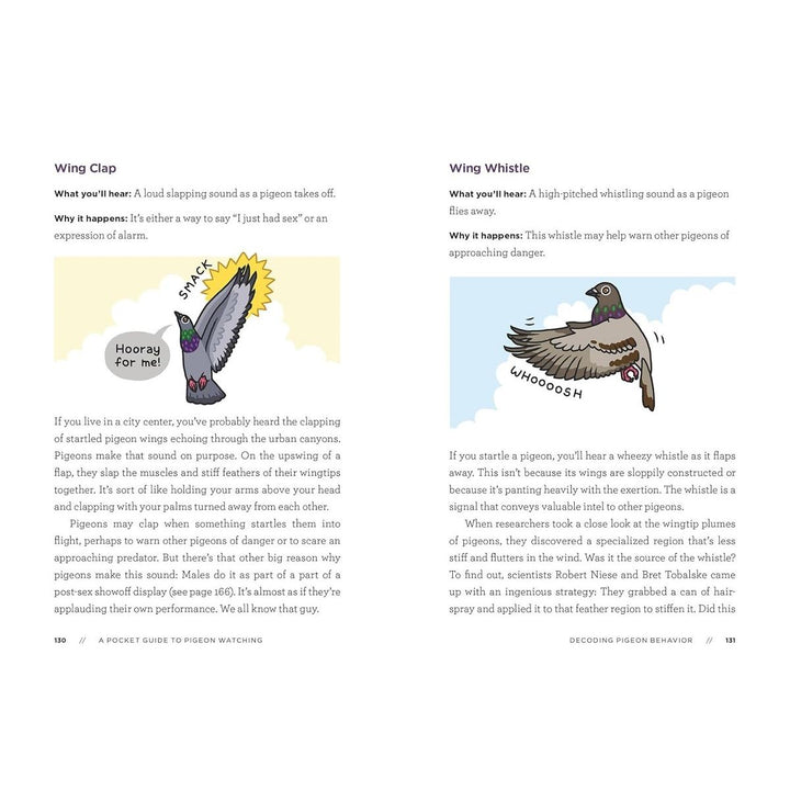 A Pocket Guide To Pigeon Watching 3
