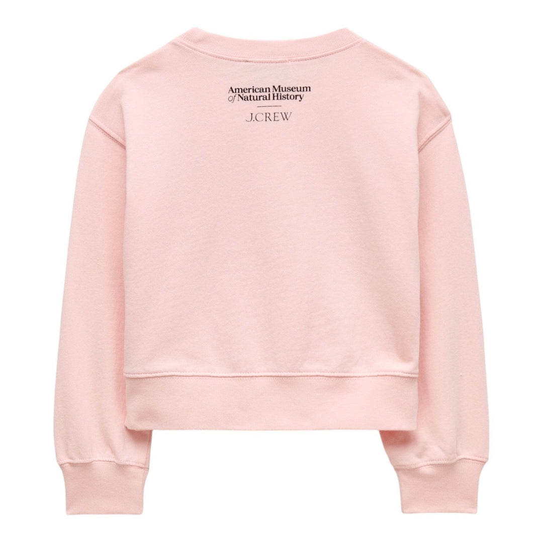 AMNH X J.Crew Youth Butterfly Graphic Sweatshirt