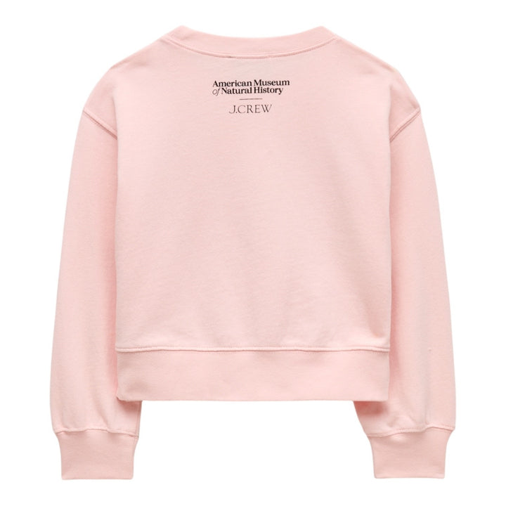 AMNH X J.Crew Youth Butterfly Graphic Sweatshirt