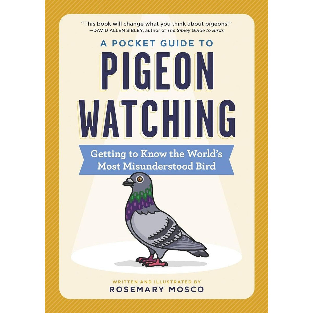 A Pocket Guide To Pigeon Watching