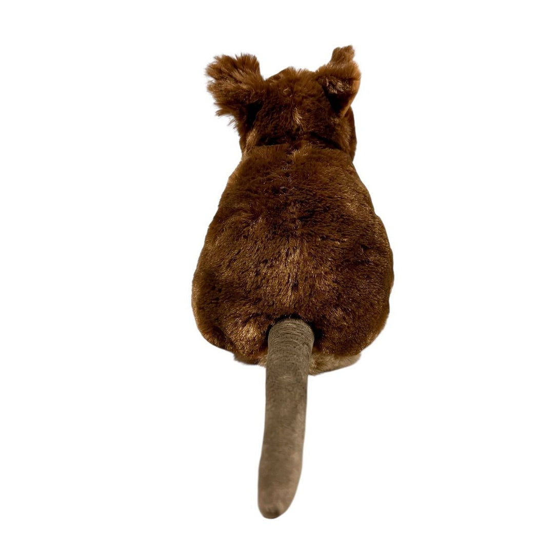 Mini Cuddlekins Plush 8 Inch Quokka