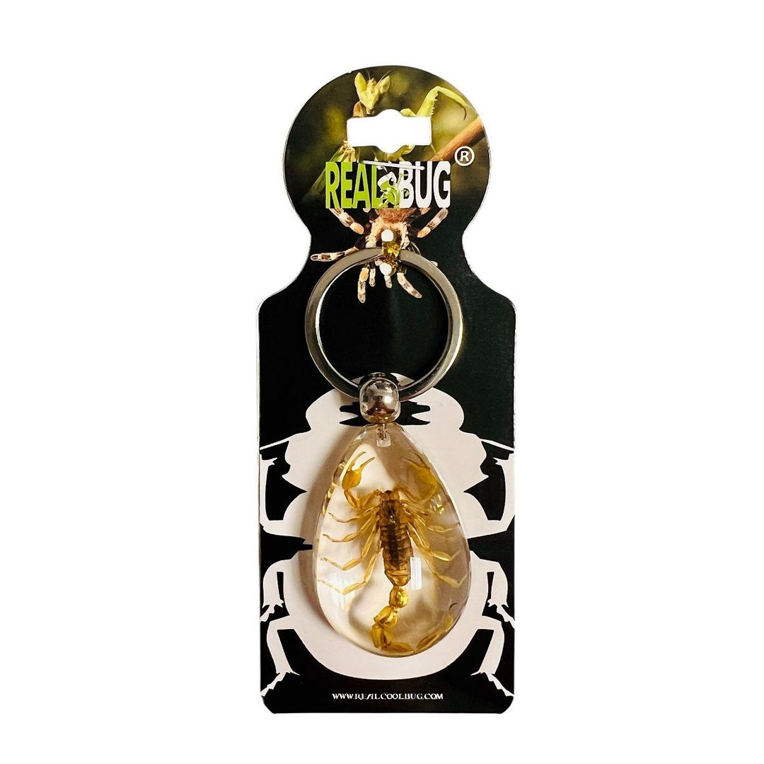 Ethically Sourced Gold Scorpion Keychain