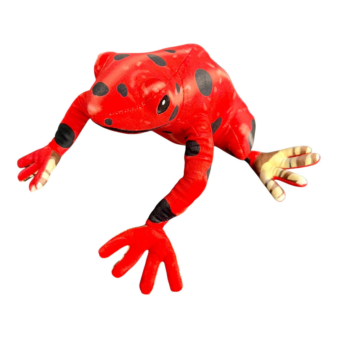 Assorted Plush Poison Dart Frogs
