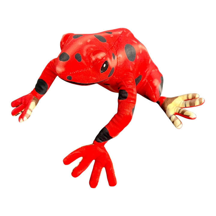 Assorted Plush Poison Dart Frogs