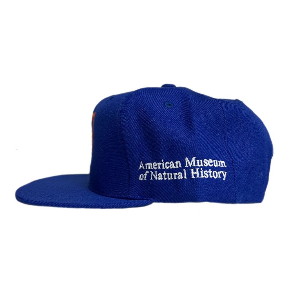 Exclusive AMNH NY Mets Cap Side