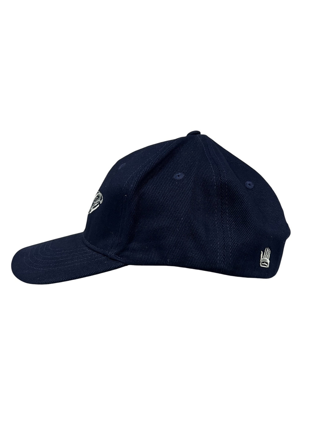 NW Coast Embroidered Sacred Salmon Cap
