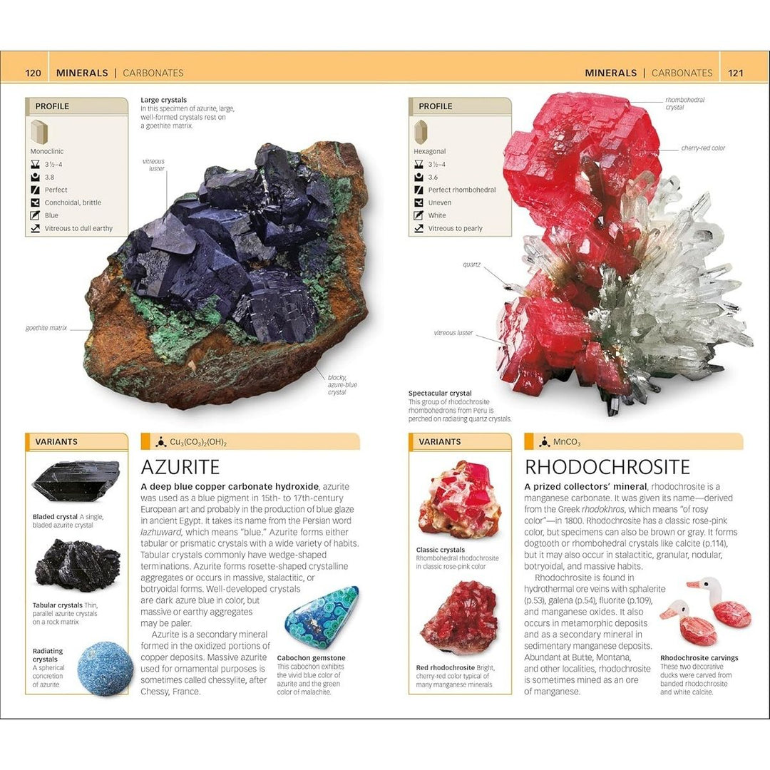 Nature Guide: Rocks and Minerals: The World in Your Hands meteorites