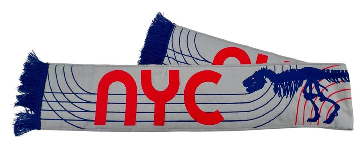 Exclusive AMNH NYC Dinosaur Soccer Scarf
