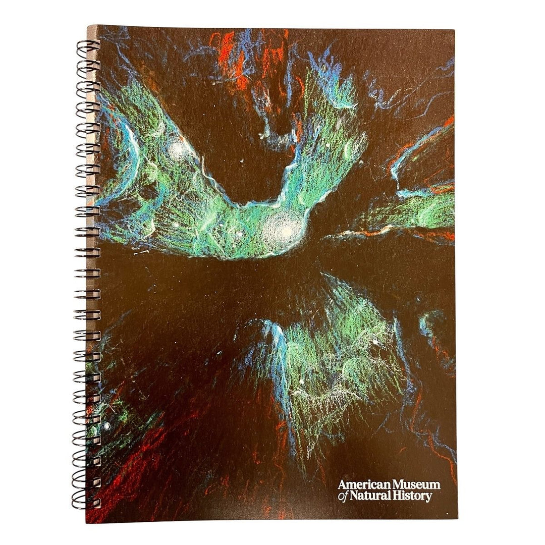 Inside a Nebula Spiral Sketchbook