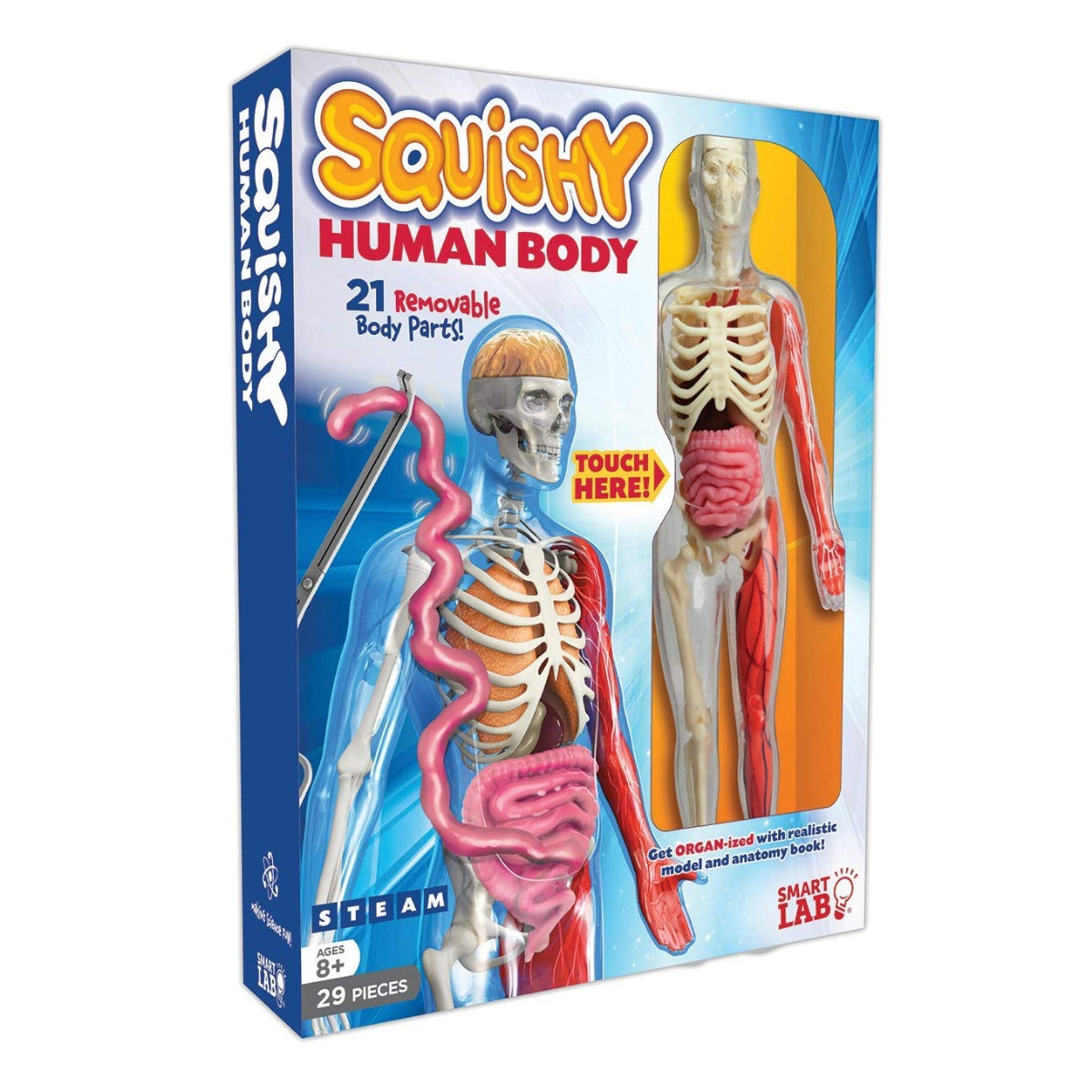Squishy Human Body Kit | AMNH Shop