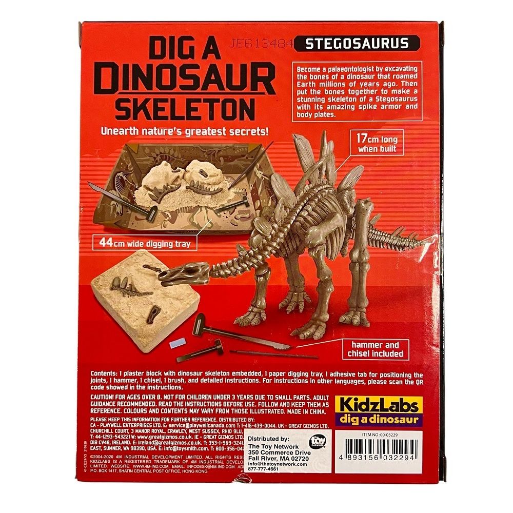 Dig A Dinosaur Stegosaurus Skeleton Back