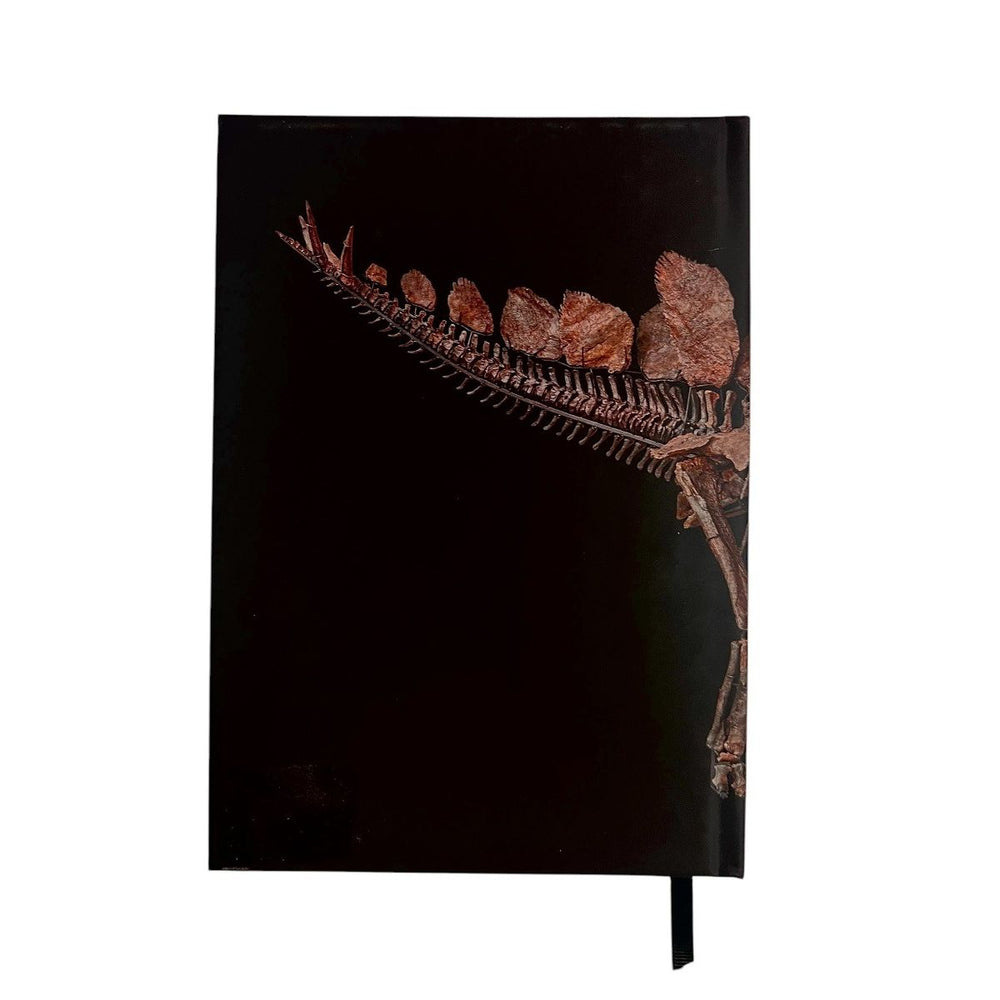 AMNH Hardcover Stegosaurus Journal back