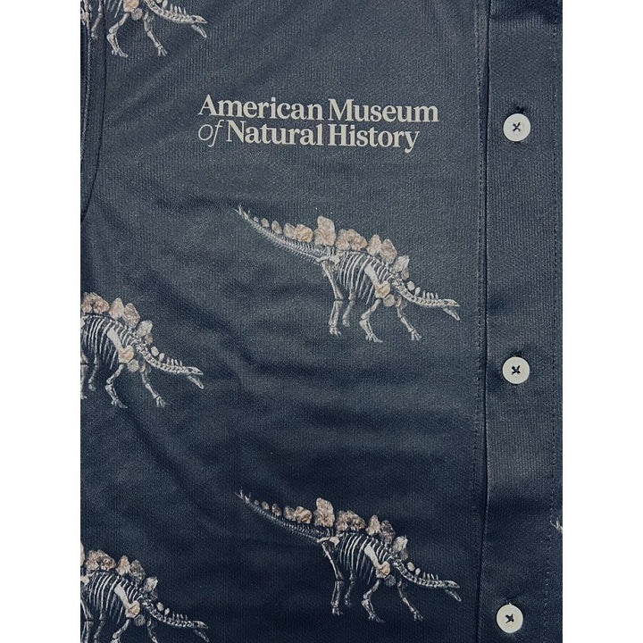 Adult Eco-Friendly Stegosaurus Shirt closeup