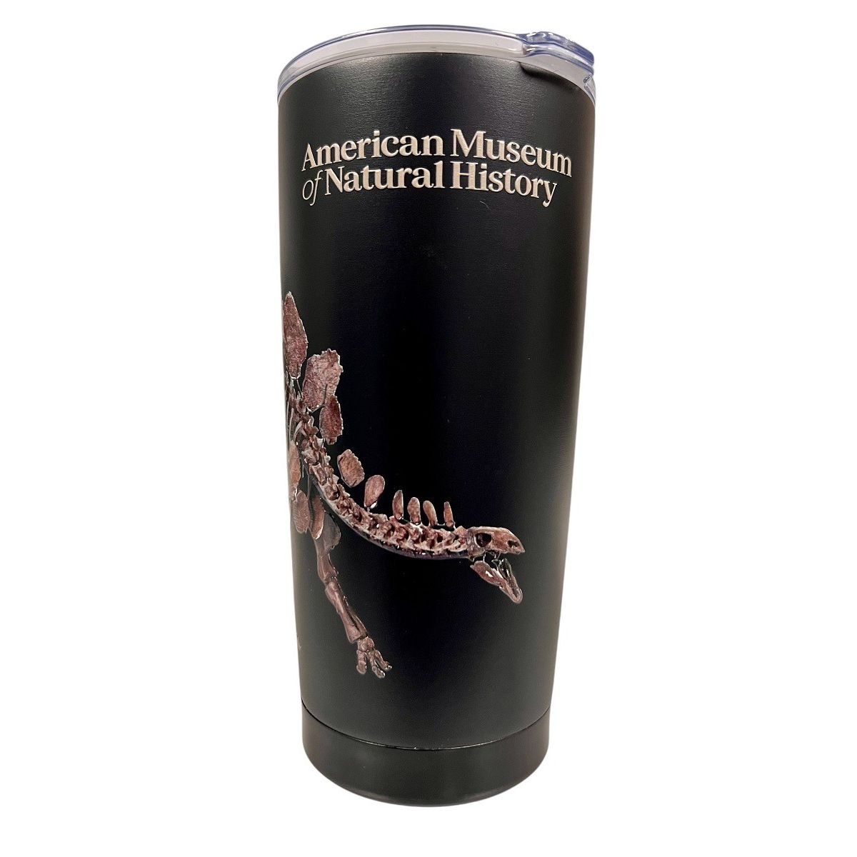 AMNH Stegosaurus 20 oz Insulated Tumbler | AMNH Shop