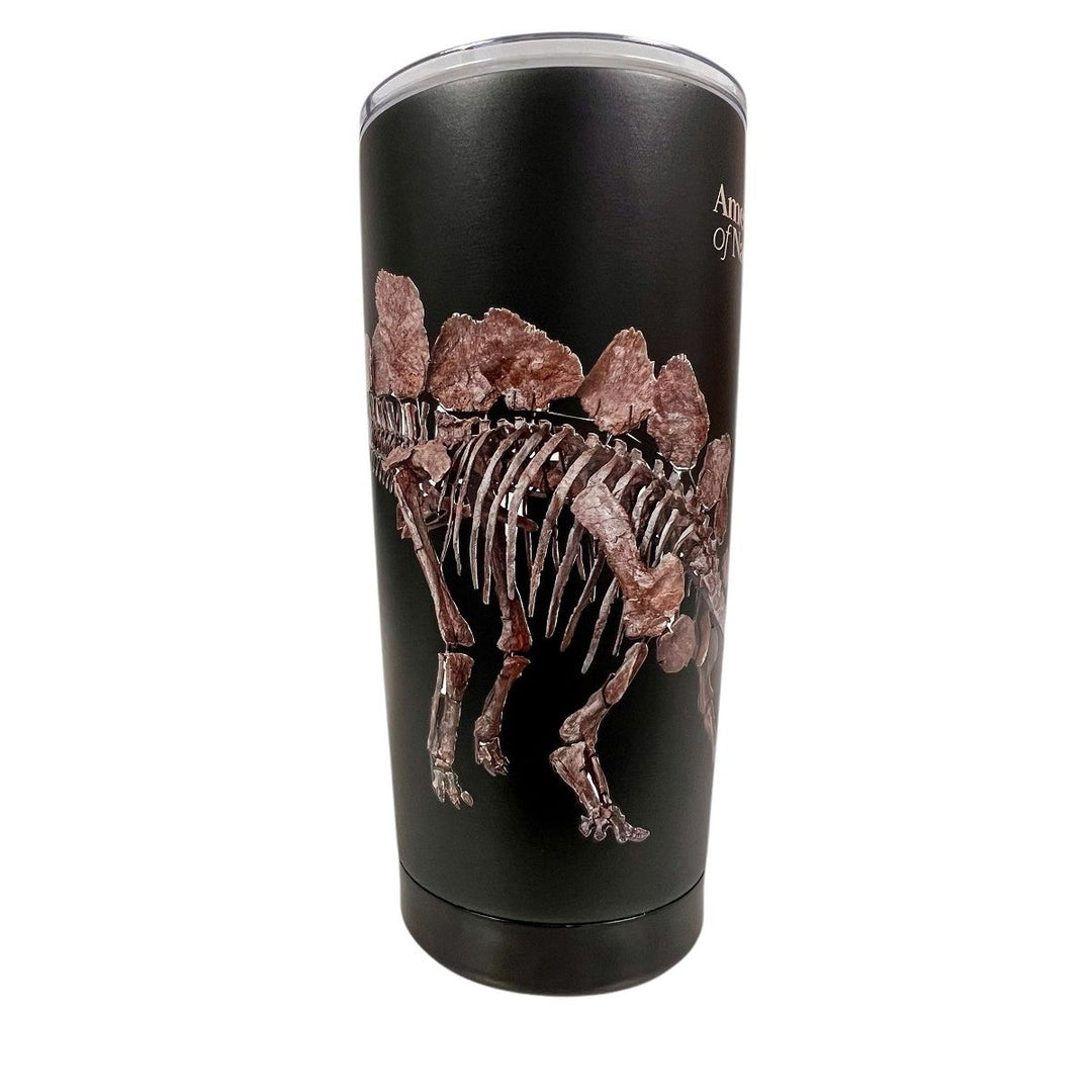 AMNH Stegosaurus 20 oz Insulated Tumbler 2