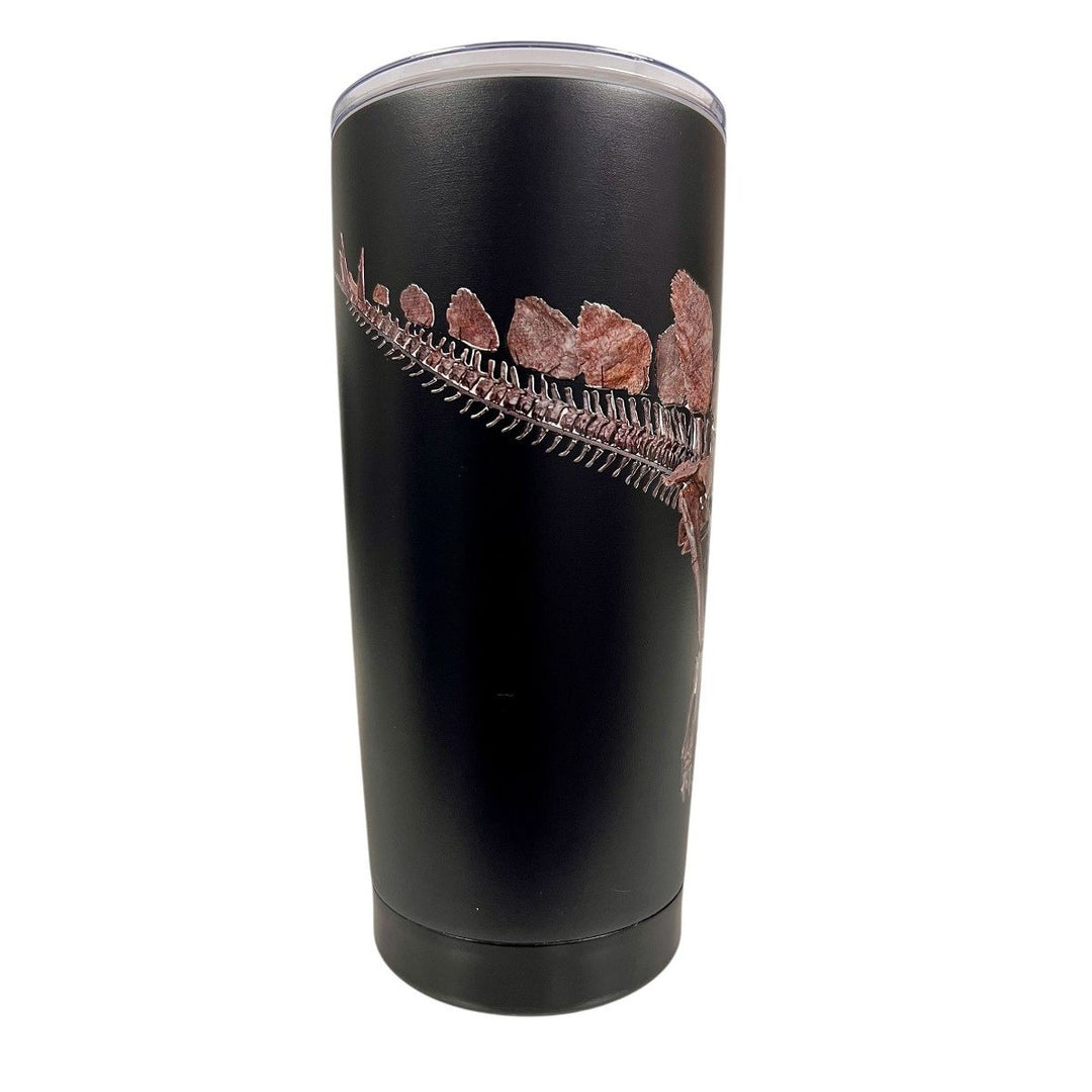 AMNH Stegosaurus 20 oz Insulated Tumbler 3