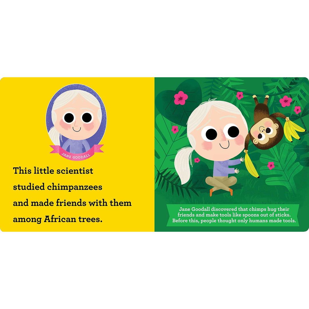 This Little Scientist Board Book