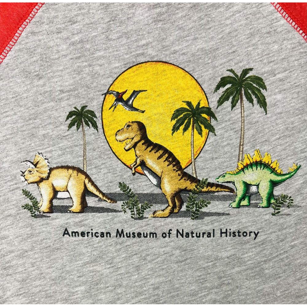 Toddler Dinosaurs Raglan T-Shirt closeup