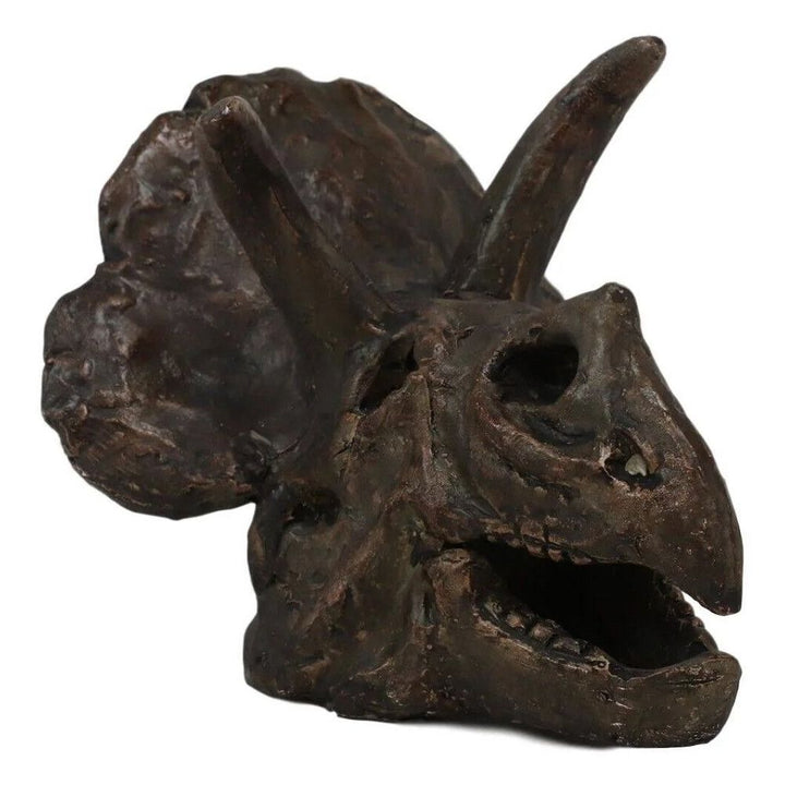 6 Inch Triceratops Skull Model side