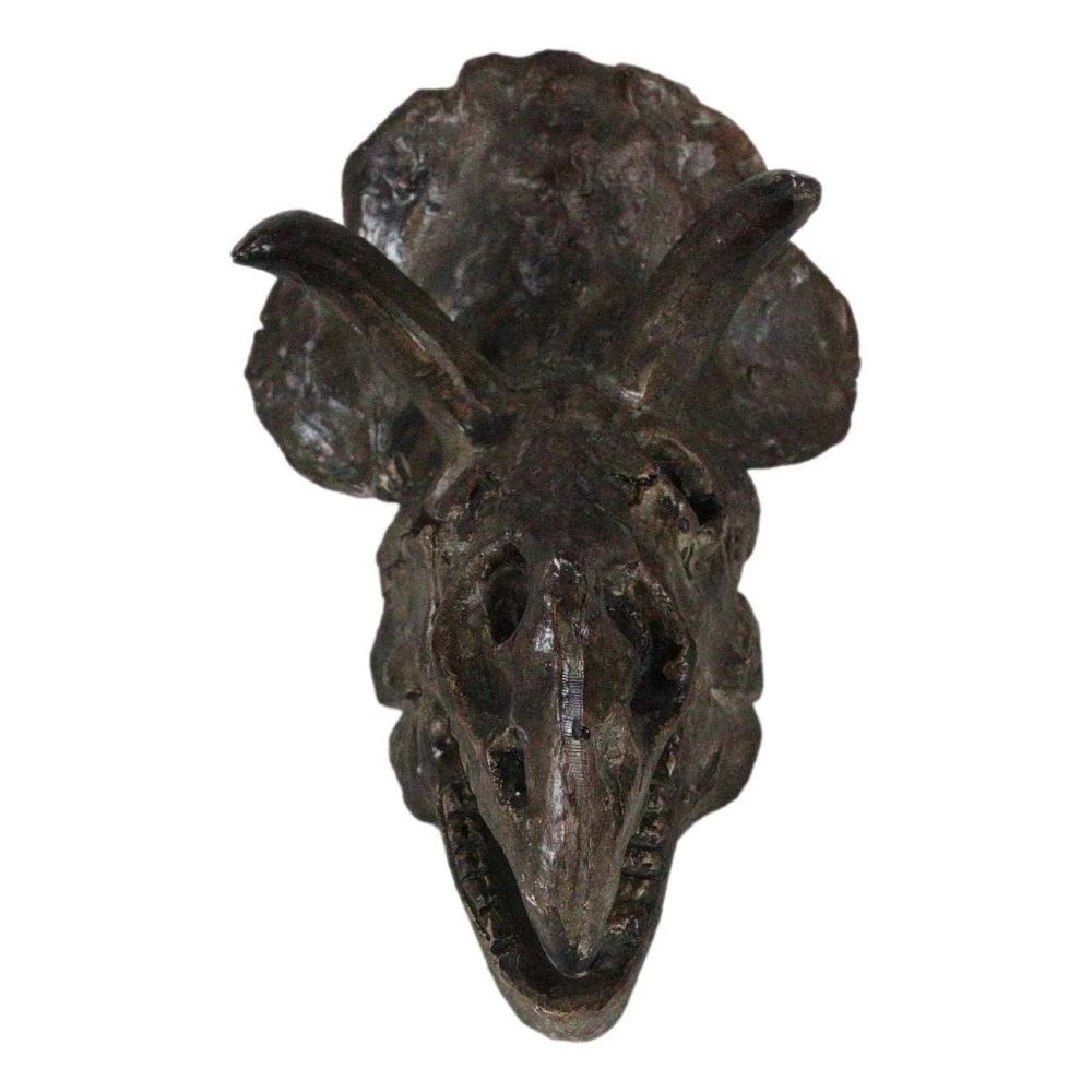 6 Inch Triceratops Skull Model front