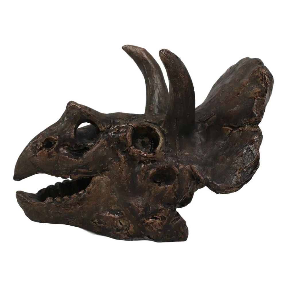 6 Inch Triceratops Skull Model