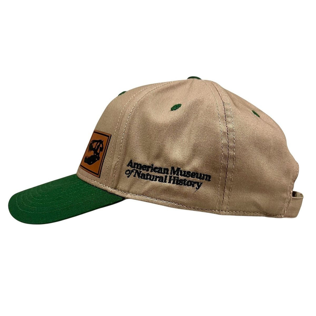 Two-Tone T.Rex Skull Patch Cap