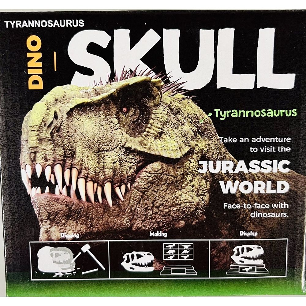 Tyrannosaurus Skull Dig Kit