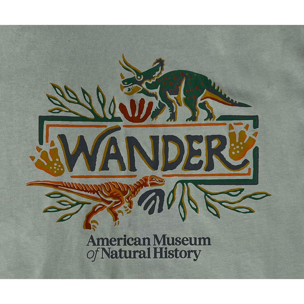 Adult Organic Cotton Dinosaur Wander T-Shirt closeup