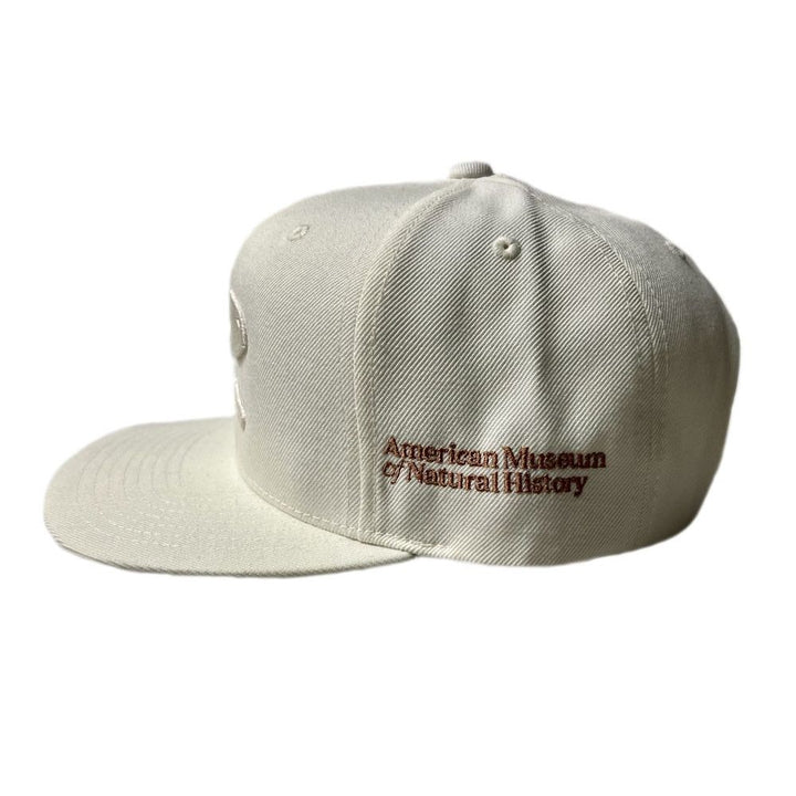Adult AMNH Cream Flat Brim  Dino Skull Cap Side