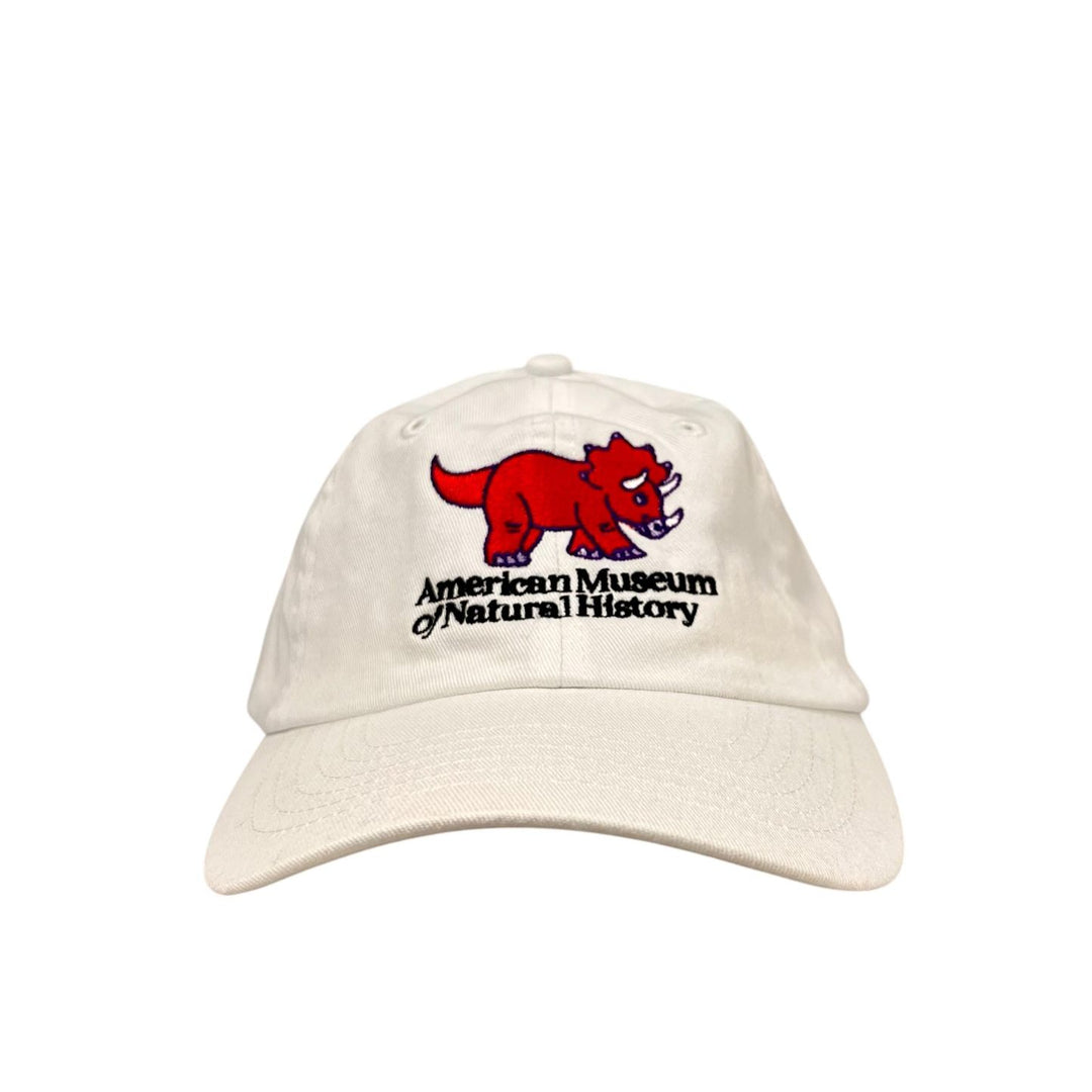 Youth Embroidered Dino Cutie Hat