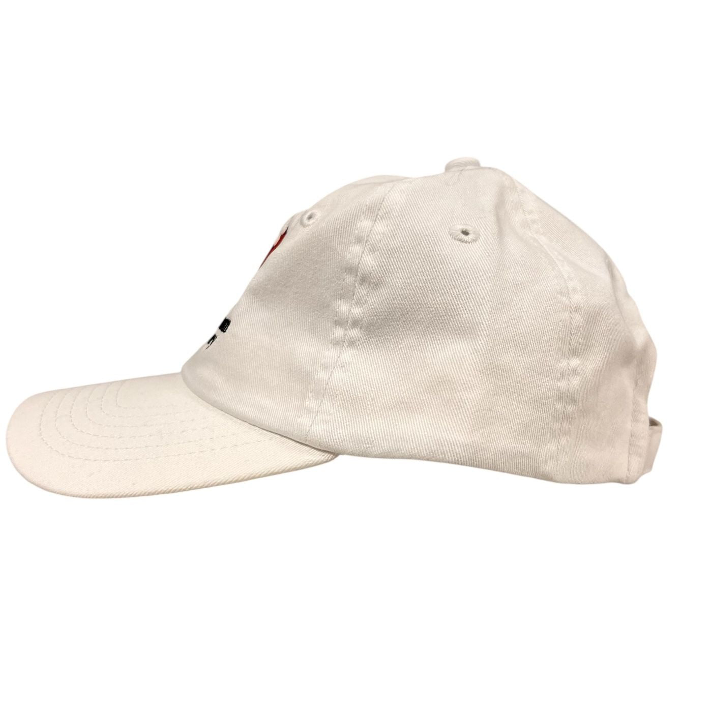 Youth Embroidered Dino Cutie Hat | AMNH Shop