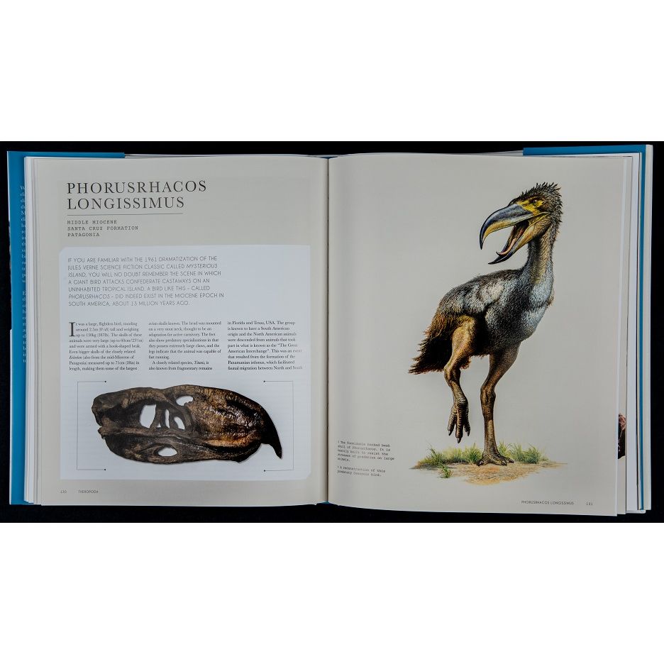 The World of Dinosaurs: An Illustrated Tour