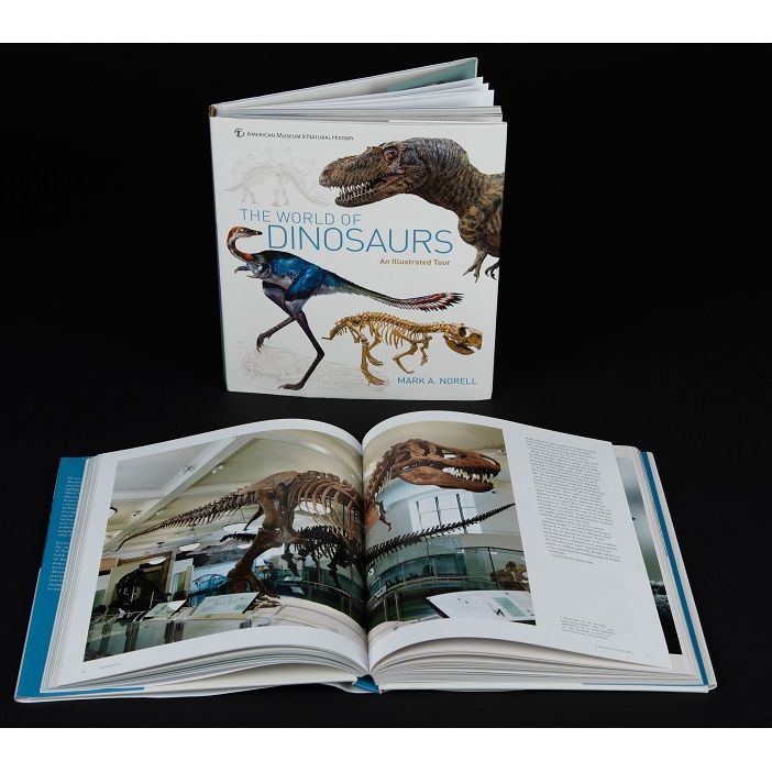 The World of Dinosaurs: An Illustrated Tour