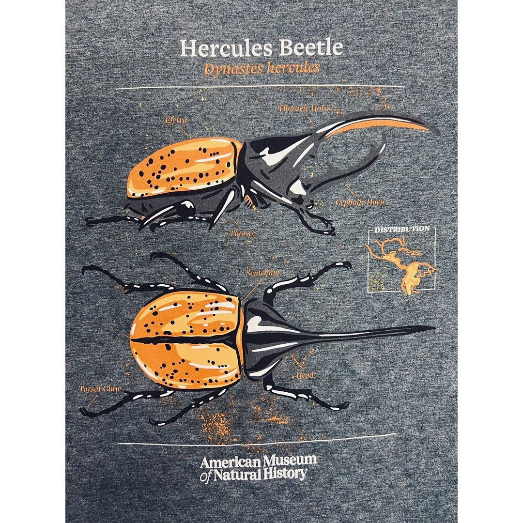 Youth Charcoal Gray Hercules Beetle T-Shirt closeup