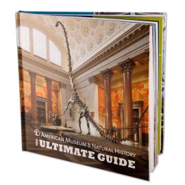 American Museum of Natural History: The Ultimate Guide