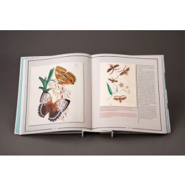 Natural Histories Innumerable Insects